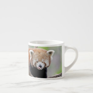 espresso cup Foto rode panda. Kop