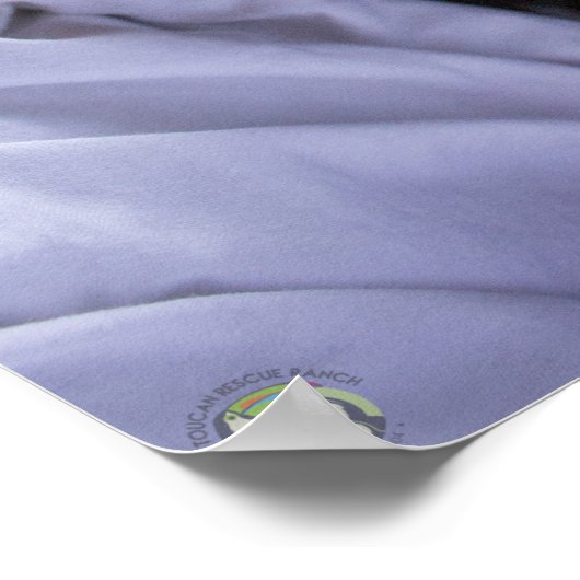 Espresso Poster (Hoek)