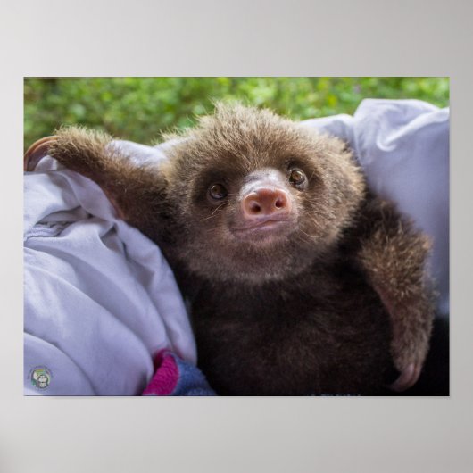 Espresso Poster (Voorkant)