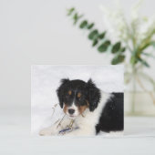 ess bwt puppy briefkaart (Staand voorkant)