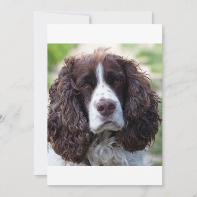 ESS leverwitte seconde (Voorkant)