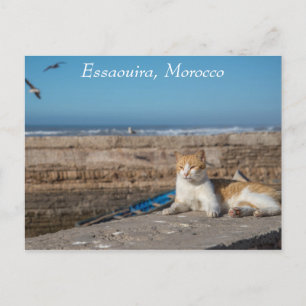 Essaouira, Marokko   Kat van het Zee Briefkaart