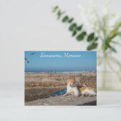 Essaouira, Marokko | Kat van het Zee Briefkaart (Staand voorkant)