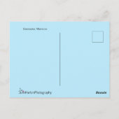 Essaouira, Marokko | Kat van het Zee Briefkaart (Achterkant)