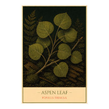 Essenblad - Vintage botanische illustratie