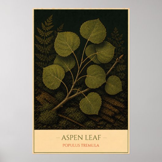 Essenblad - Vintage botanische illustratie Poster (Voorkant)