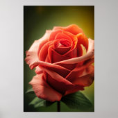 Essentie van de Roos Poster (Voorkant)
