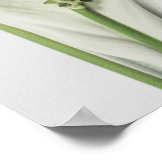 "Essentiële Natuur" Poster (Hoek)