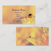 Essentiële olieproducten Aangepast Visitekaartje (Voorkant / Achterkant)