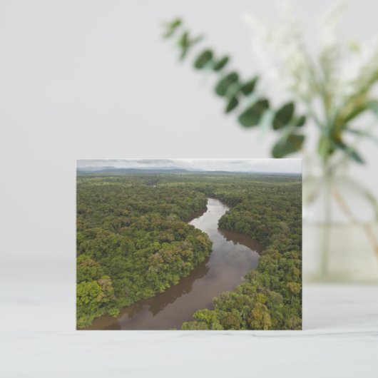 Essequibo River, de langste rivier in Guyana, en 5 Briefkaart (Staand voorkant)