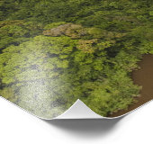 Essequibo-rivier, langste rivier in Guyana, en 5 Foto Afdruk (Hoek)