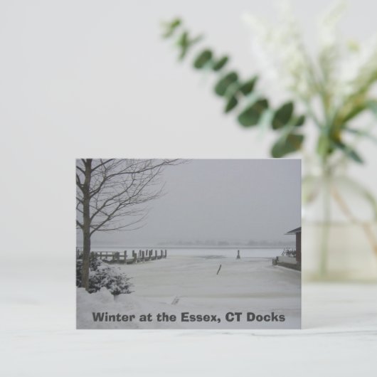 Essex Dock, Winter at the Essex, CT Docks Briefkaart (Staand voorkant)