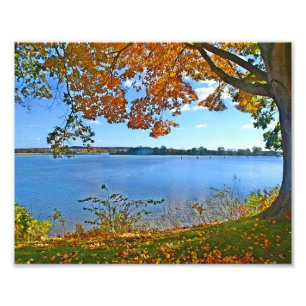 Essex in herfst Foto print Afdruk