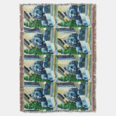 Esteed Feline, Washington DC, VS Deken (Voorkant Verticaal)