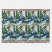 Esteed Feline, Washington DC, VS Deken (Voorkant)