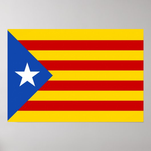 Estelada Poster (Voorkant)