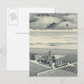 Estella Blanca Vineyard, Californië Briefkaart (Voorkant / Achterkant)