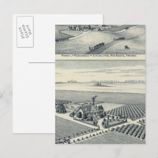 Estella Blanca Vineyard, Californië Briefkaart (Voorkant / Achterkant)
