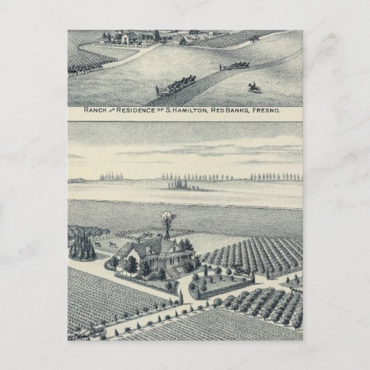 Estella Blanca Vineyard, Californië Briefkaart (Voorkant)