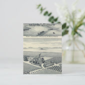 Estella Blanca Vineyard, Californië Briefkaart (Staand voorkant)