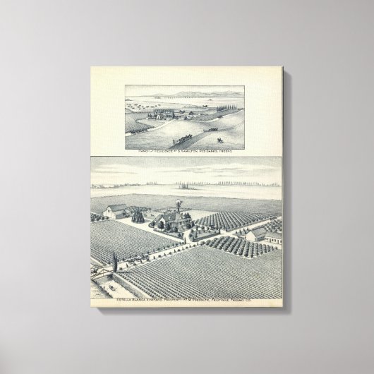 Estella Blanca Vineyard, Californië Canvas Afdruk (Voorkant)