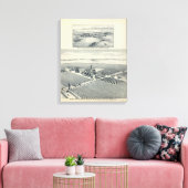 Estella Blanca Vineyard, Californië Canvas Afdruk (Insitu (Woonkamer))