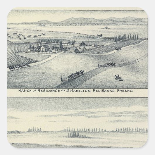 Estella Blanca Vineyard, Californië Vierkante Sticker (Voorkant)