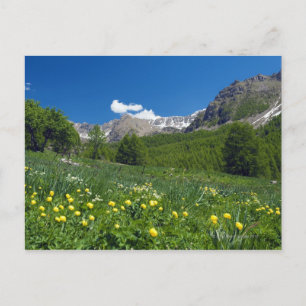 Estenc Valley in de lente Franse Rivièra Briefkaart