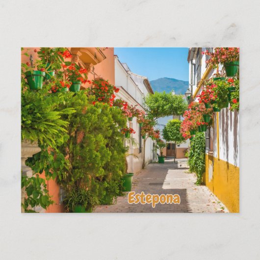  Estepona, Spain Charming Town in Malaga Street  Briefkaart (Voorkant)