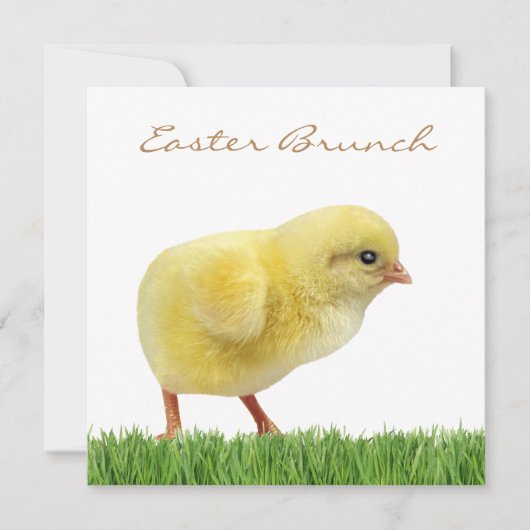 Ester brunch square 5,25 x 5,25 inch kaart (Voorkant)