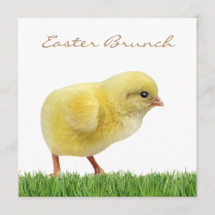 Ester brunch square 5,25 x 5,25 inch kaart