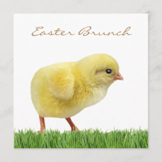Ester brunch square 5,25 x 5,25 inch kaart