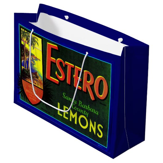 Estero-citroenkartonnen druk uit de jaren '40 groot cadeauzakje (Voorkant Gekanteld)