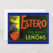 Estero-citroenkratenlabel 1940 briefkaart (Voorkant / Achterkant)