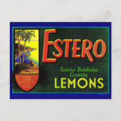 Estero-citroenkratenlabel 1940 briefkaart (Voorkant)