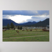 Estes Park, Co Poster (Voorkant)