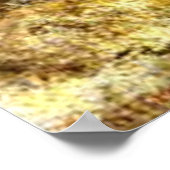 Estes Park, Colorado door Albert Bierstadt, Poster (Hoek)