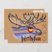 Estes Park Colorado elk briefkaart (Voorkant / Achterkant)