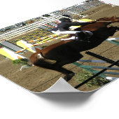 Estes Park Series (1) Poster (Hoek)