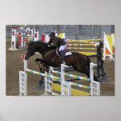 Estes Park Series (3) Poster (Voorkant)