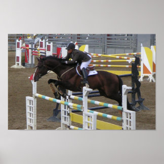 Estes Park Series (3) Poster