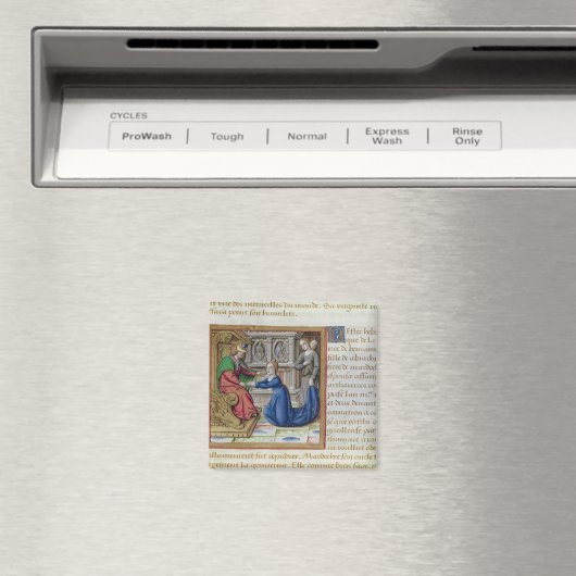 Esther Magneet (Insitu (Vaatwasser))