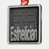 Estheticien Extraordinaire Metaal Ornament (Links)
