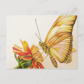 esthetisch briefkaart
