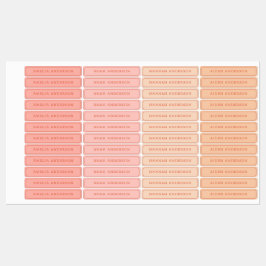  esthetisch perzik roze waterdicht naamlabel labels