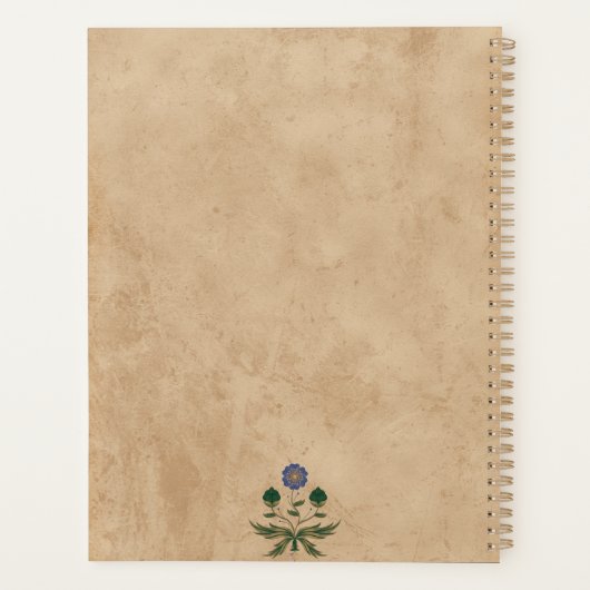 esthetisch planner (Achterkant)