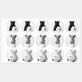 Esthetische Nieuwsgierige Katten die Toiletpapier  Labels