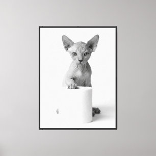 Esthetische speelse Sphynx kat die toiletpapier be Canvas Afdruk