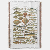 Esthetische viskaart voor mariene biologie deken (Voorkant Verticaal)