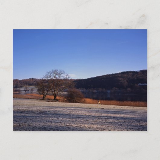 Esthwaite Water Cumbria England Briefkaart (Voorkant)